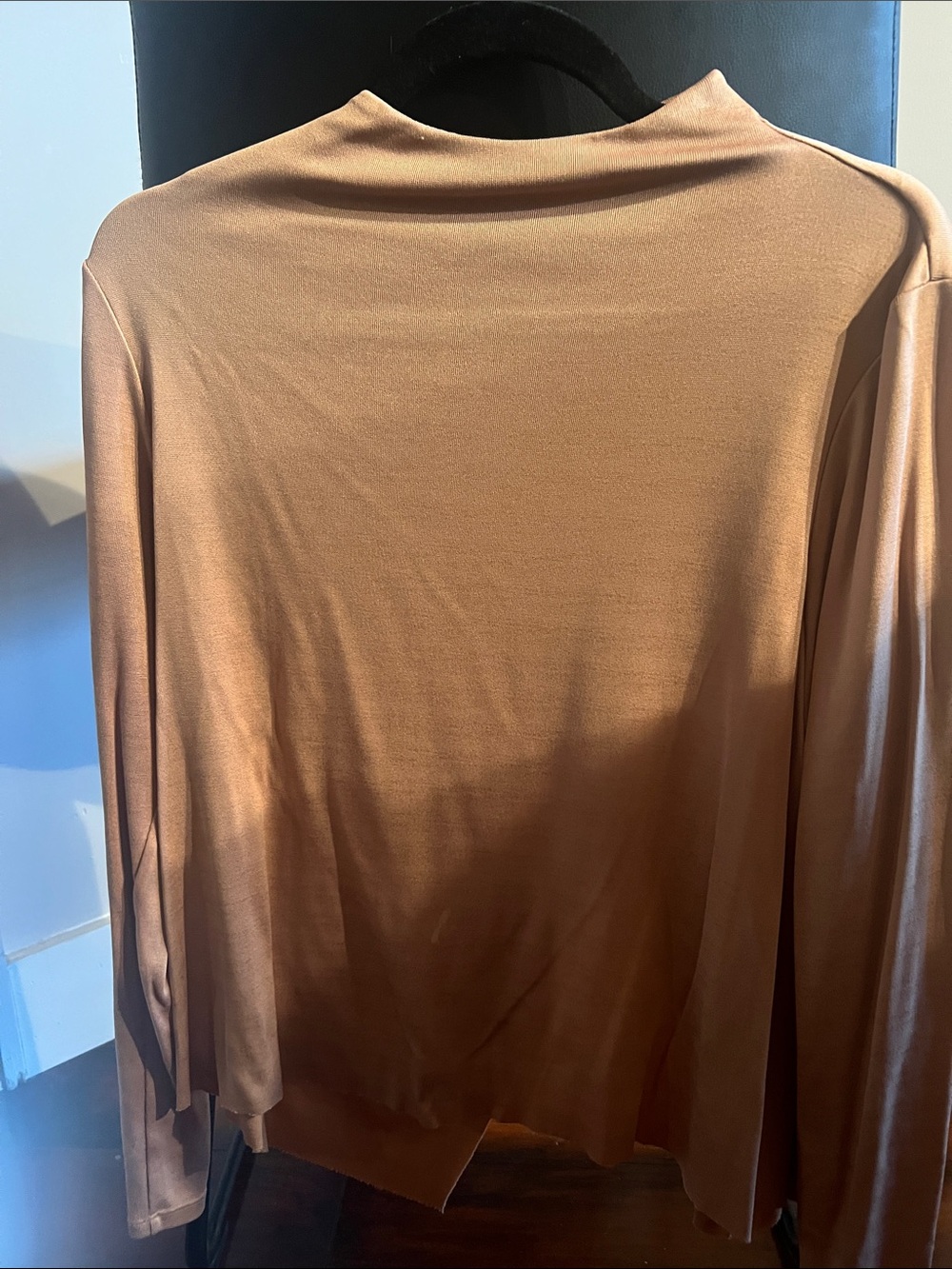Satin-Look Long Sleeve Top in Bronze